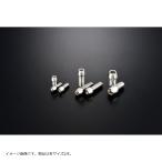 G craft (ji- craft ) конус болт M8x25mm нержавеющая сталь 2 шт. комплект 38081