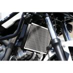  Pro fe -тактный радиатор core защита нержавеющая сталь серебряный NC700X NC700S NC750X NC750S PRG181