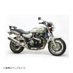 ACTIVE( активный ) подрамник XJR1200 1300 1113016P