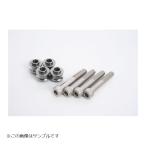 GALE SPEED ( Gale Speed ) офсет цвет 12mm серебряный &C болт TRACER900GT(ABS)