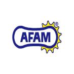 AFAM (アファム) Rスプロケ リアスプロケットット 520-43 リアスプロケット スチール GSX-R1000 K9-L5