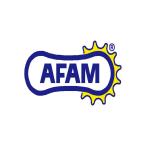 AFAM (アファム)  フロントスプロケット 428-14 GN125 VL125 INTRUDER