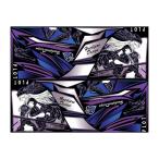 Plot (プロト) デカールキット ヴァルキリー ブルー ニンジャ Ninja250