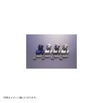 POSH Faith (poshu лицо ) мускл позиция держатель Gold XJR/CB1300SF etc 070052-04