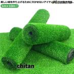 pltstore искусственный газон roll 1m×10m искусственный газон сырой искусственный газон коврик газонная трава коврик высокая прочность газонная трава сырой .. газонная трава roll лето цвет весна осень цвет UV cut двор садоводство веранда te