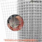 pltstore сетка-рабица .5m 10m 20m антикоррозийный chi gold тросик сетка THKJ мышь . входить предотвращение дом . сеть москитная сетка сетка популярный модный удобный легкий в использовании удобный каждый день можно использовать . починка .