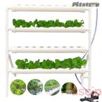 pltstore гидропонная культура комплект .... культивирование комплект клубника овощи культивирование комплект салон огород гидропонная культура комплект посадочная машина 36 дыра (36 дыра )