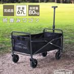 pltstore эластичный отдых Wagon легкий тележка покупки мульти- передвижная корзинка покупка Cart складной уличный садоводство садоводство отдых BBQ кемпинг 