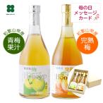 母の日 梅シロップ 梅ジュース プレゼント 2025 ギフト ドリンク 贈り物 梅ハニップ 完熟梅ハニップ 梅ジュースの素 梅果汁 590g×2本