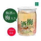 梅酒の梅 実入り ワンカップ梅酒100 