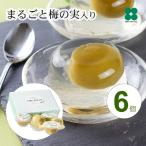 梅ゼリー ギフト プレゼント まるごと梅の実入り ウメ 母の日 手土産 差し入れ 使い物 お供え 6個入り