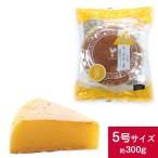 六甲山麓牛乳仕込み 遊酪舎しっとりしたちーずけーき チーズケーキ 5号 約300g ポイント消化 ポスト投函便 送料無料