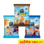 オリヒロ アイス 3袋セット5種34個 なめらか食感 1000円ぽっきり お試し ポイント利用 カフェオレ コーラ ソーダ オレンジ グレープ