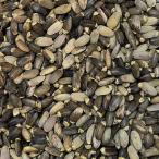 ミルクシスル（有機原料使用）50g �