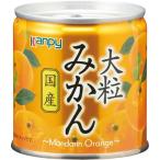 カンピー 大粒みかん 国産 缶 (M2号) 190g