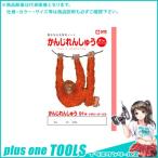サクラクレパス かんじ91字R NP52