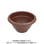 (Á÷ÎÁÊÌÅÓ)(ľÁ÷ÉÊ)°ÂÁ´¶½¶È ¥Ü¡¼¥ë¥×¥é¥ó¥¿¡¼300 ¥Ö¥é¥¦¥ó 167mm¡ß315¦Õ 4L (50Æþ)