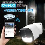 LEDセンサーライト付防犯カメラ SL 大進 DLA-RD300-SL