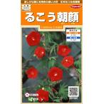 sakata. tane реальный . цветок 7831... утро лицо 00907831