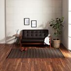 イケヒコ 『バルカン』 肌触りの良い国産 畳 マット 江戸間1畳 ブラウン 傷がつきにくく引っ掻き傷にも強い丈夫なPP素材で作ったカーペット 水