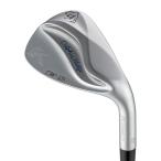 Kasco (Kasco) Dolphin Wedge semi Goose шея DW-125G Dolphin DP-231 L 54°