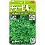 サカタのタネ 実咲ハーブ8077 チャービル(セルフィーユ) ハーブ 00928077