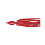 yama внизу (YAMASHITA) осьминог Bait LP осьминог * Aurora 2.5 номер 75mm KE1 искусственная приманка 