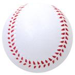 池田工業社 やわらか野球ボール [ ボール/野球ボール ] 000033250