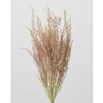 [ консервированный цветок материалы для цветочной композиции материал ] -тактный -be* розовый | зеленый * большой земля сельское хозяйство .