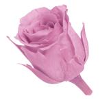 [ консервированный цветок материалы для цветочной композиции материал ] Vivian * Mini selection * crystal розовый * большой земля сельское хозяйство .