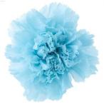 【プリザーブドフラワー　花材　資材】 ベビーブルー・カーネーション8輪入　大地農園