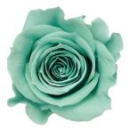 [ консервированный цветок материалы для цветочной композиции материал ] rose *...* mint blue * большой земля сельское хозяйство .