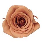 [ консервированный цветок материалы для цветочной композиции материал ] rose *...* розовый мокка * большой земля сельское хозяйство .