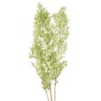 [ консервированный цветок материалы для цветочной композиции материал ]la ska s* консервированный * лёд зеленый * большой земля сельское хозяйство .