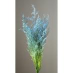[ консервированный цветок материалы для цветочной композиции материал ] rental Piaa * голубой | зеленый * большой земля сельское хозяйство .