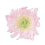 [ консервированный цветок материалы для цветочной композиции материал ]....*.. .* розовый * большой земля сельское хозяйство .