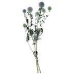 [ сухой цветок материалы для цветочной композиции материал ]ruli шар a The mi* большой земля сельское хозяйство .