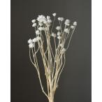 [ сухой цветок материалы для цветочной композиции материал ] Anne mo вид m* красота * "теплый" белый * большой земля сельское хозяйство .