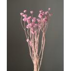 [ сухой цветок материалы для цветочной композиции материал ] Anne mo вид m* красота * розовый * большой земля сельское хозяйство .