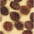 [ консервированный цветок сухой цветок материалы для цветочной композиции материал ]kala сосна * head *N* большой земля сельское хозяйство .