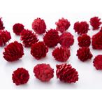 [ консервированный цветок сухой цветок материалы для цветочной композиции материал ]kala сосна * красный 