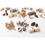 [ сухой цветок материалы для цветочной композиции материал ] частота ru орехи ассортимент * белый | Gold * большой земля сельское хозяйство .