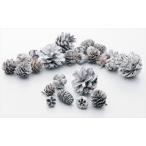 [ консервированный цветок сухой цветок материалы для цветочной композиции материал ] кукуруза ассортимент *woshu белый * большой земля сельское хозяйство .