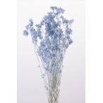 【プリザーブドフラワー　ドライフラワー　花材　資材】 クリスパム・ウォーターブルー・大地農園