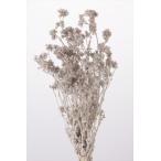 クリスパム・パールグレー・大地農園