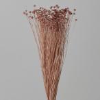 [ сухой цветок материалы для цветочной композиции материал ] mauve розовый * Pinky кнопка 