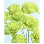 [ ручная работа цветок материалы для цветочной композиции материал ] солнечный rose * маленький * Angel зеленый * большой земля сельское хозяйство .