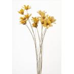 [ ручная работа цветок материалы для цветочной композиции материал ] Petit Flower крем * большой земля сельское хозяйство .