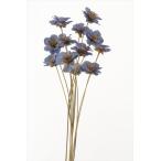 [ ручная работа цветок материалы для цветочной композиции материал ] ветреница корончатая цветок * лаванда * большой земля сельское хозяйство .