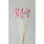 [ сухой цветок материалы для цветочной композиции материал ]poa растения * двухцветный * белый розовый * большой земля сельское хозяйство .